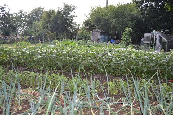 Parish Council Allotment