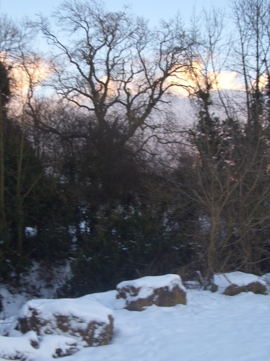 Entrance to Nature Reserve