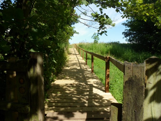 The entrance to the Dalton Piercy - Summerhill footpath.