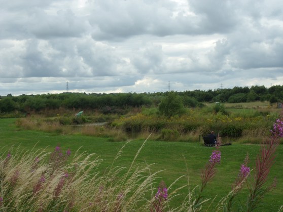 Coarse fishing lake with carp, tench, roach, bream, ide, perch and golden orf.