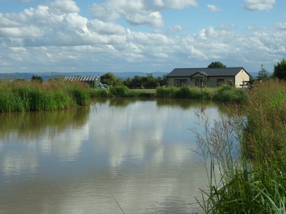 Coarse Fishing Lake and Cottages