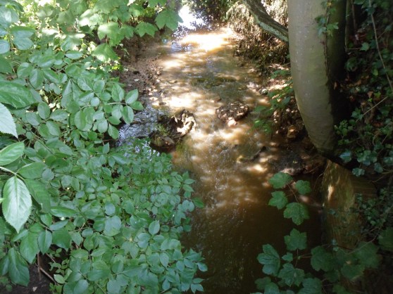 Inside the Nature Reserve