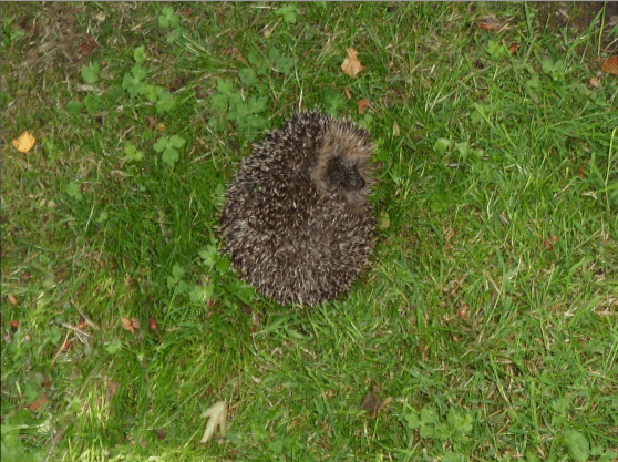 Screen Shot 2013-08-07 at 18.47.38