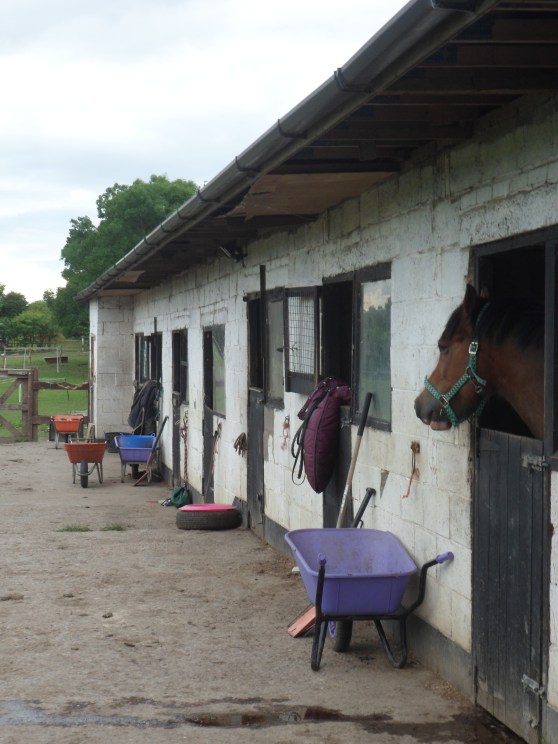 Stables_2
