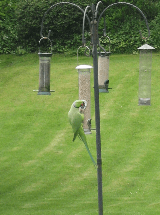 Screen Shot 2014-07-05 at 12.27.57